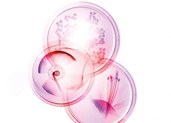 Nouveau programme jeunesse Sothys.